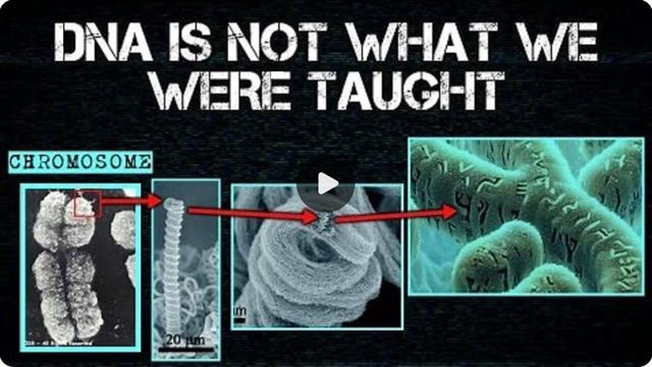 DNA is NOT what we were taught!
