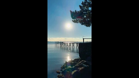 THE BRONX MORNING SUN☀️