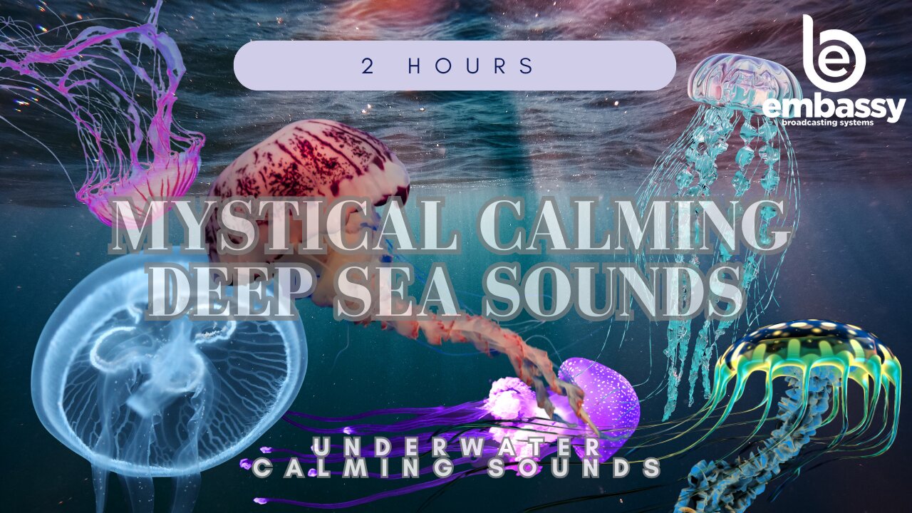 Mystical Deep Sea Sounds w/Jellyfish | Calming Ocean Ambience for Relaxation & Sleep | By:N.Young