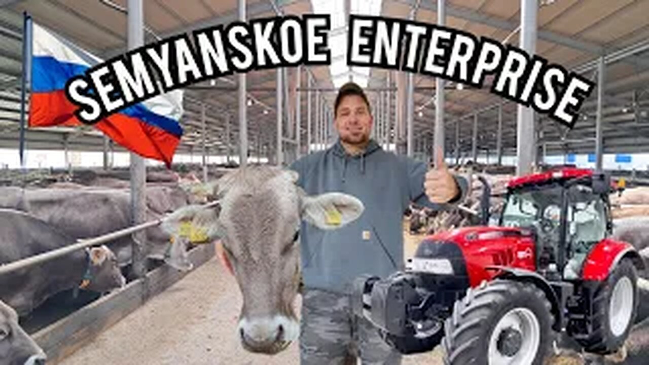 Modern Dairy FARm in RUSSIA! #45