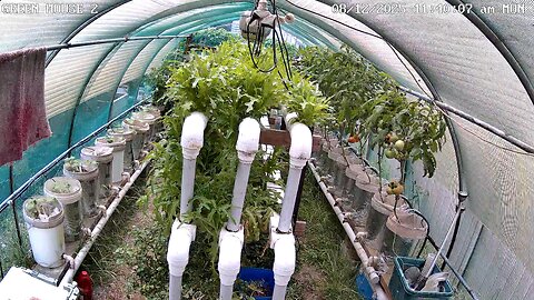 Greenhouse 2 Timeplapse Ending 24-01-2026