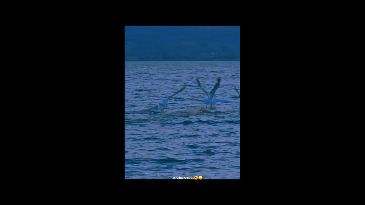 #foryoupage#forviralvide