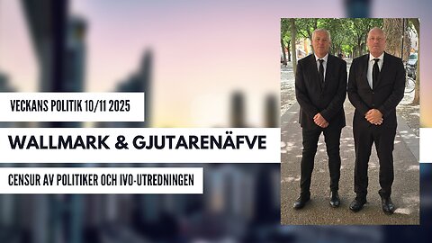 Censur av svenska politiker på sociala plattformar? Wallmark och Gjutarenäfve diskuterar