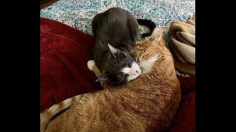 Episode 3008 CWSA 11/04/25