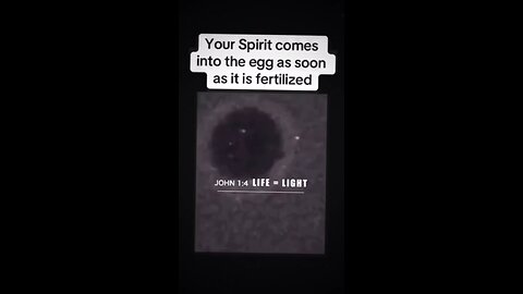 Flash of Light at Conception
