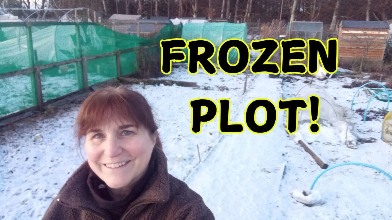 Frozen Allotment Blues: Why My Gardening's On Ice (Literally!)