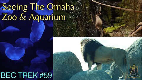 Wanna See Some Cool Animals? | Omaha Zoo and Aquarium | BEC TREK Episode 59