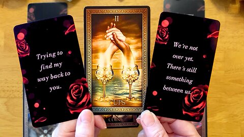 A NEW BEGINNING IS OFFERED BUT THERE'S SOMETHING YOU SHOULD KNOW FIRST!!!! 🌹 (LOVE TAROT READING)