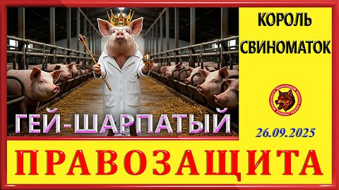 ГЕЙ-ШАРПАТЫЙ, КОРОЛЬ СВИНОМАТОК