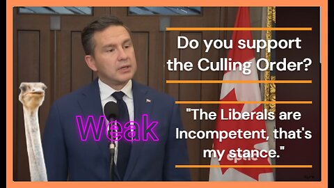 Pierre Poilievre Weak Response on Ostrich Cull says, “The Liberals are Incompetent”