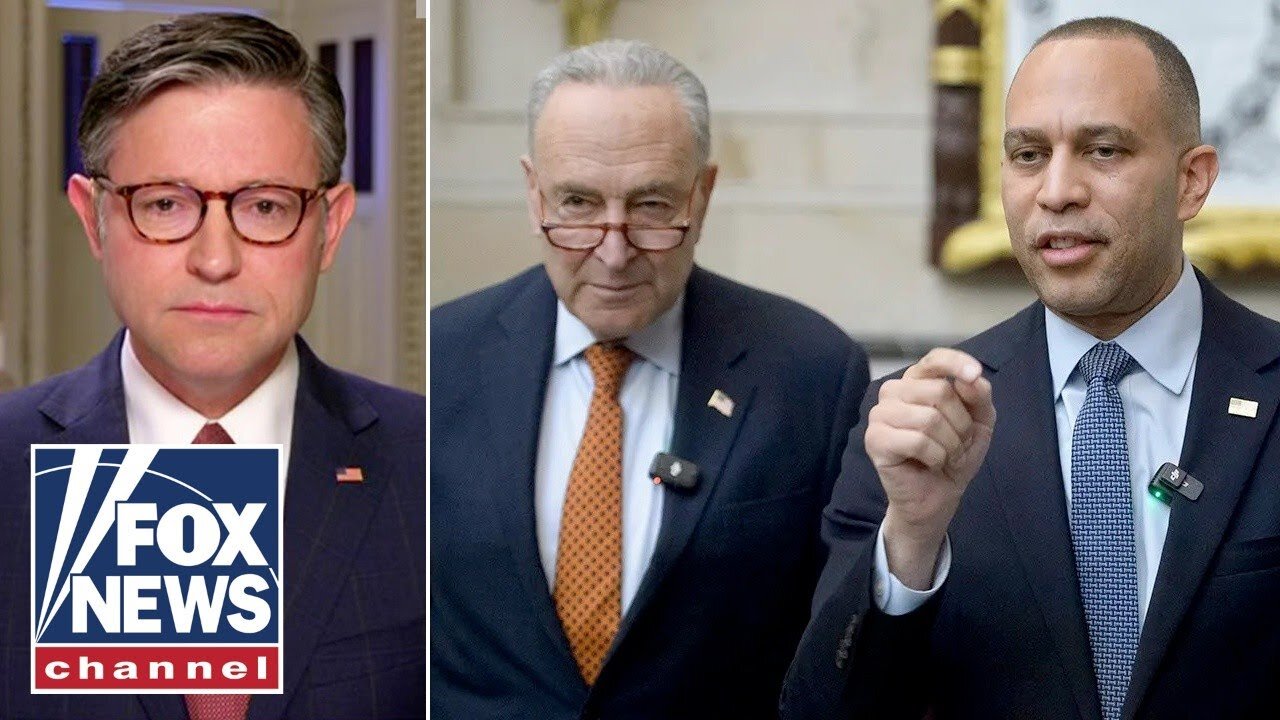 'I'VE HAD IT': Mike Johnson accuses Dems of causing 'real harm'