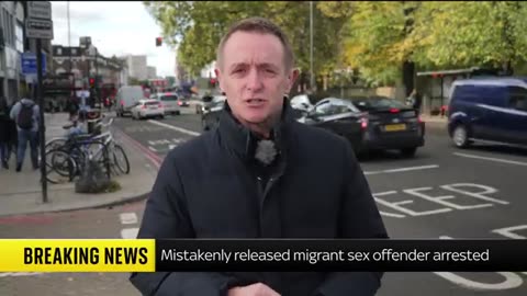 Images show moment mistakenly released migrant sex offender is arrested