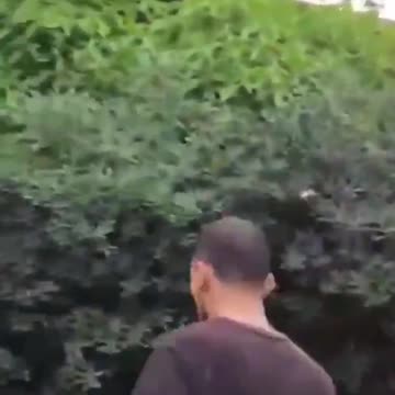 France: Muslim Immigrant Slaps Baby