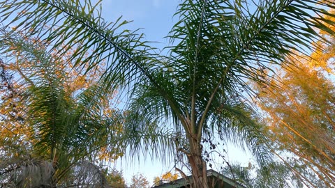 Quick View In Garden Jan 2026