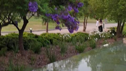 A Walk Through Bicentenario Park 🇨🇱