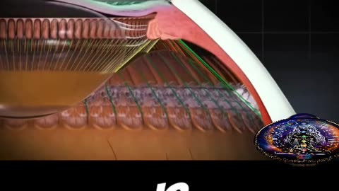 THIS IS HOW “LIGHT” WORKS