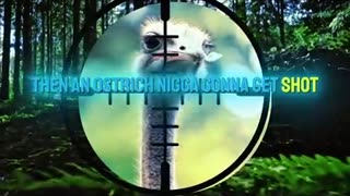 🤯 F*ck Ostriches! #Cringe #Wildlife