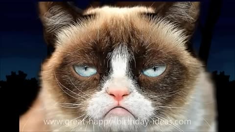 GRUMPY CAT SINGS HAPPY BIRTHDAY!