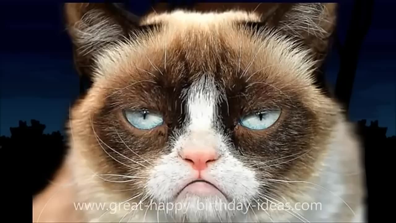 GRUMPY CAT SINGS HAPPY BIRTHDAY!