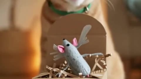 🐱🎁 My Cat Opened Her Own Christmas Present… You Won’t Believe Her Reaction 😂🎄