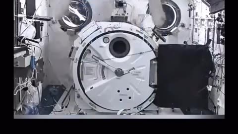 😮✨ Animals' Hilarious Reactions to Zero Gravity Will Blow Your Mind! | FeedMyCuriosity
