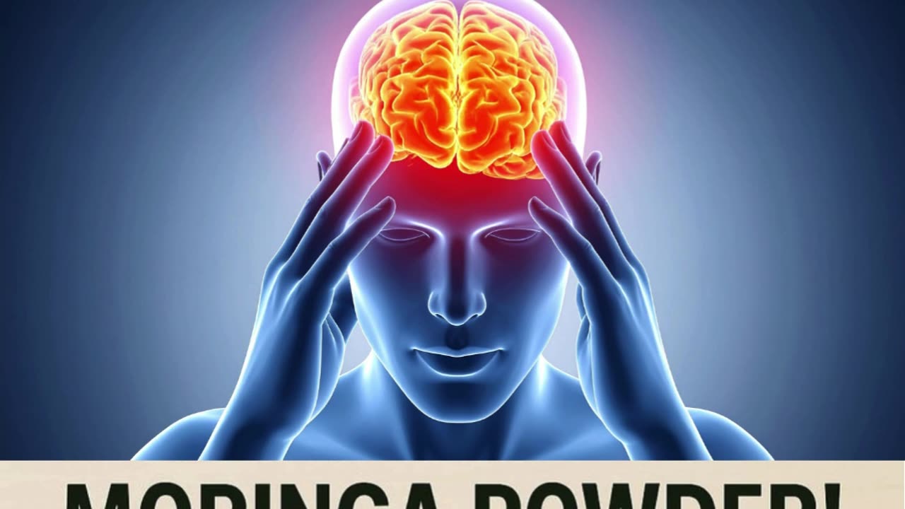 Moringa Powder Consumption and Its Benefits