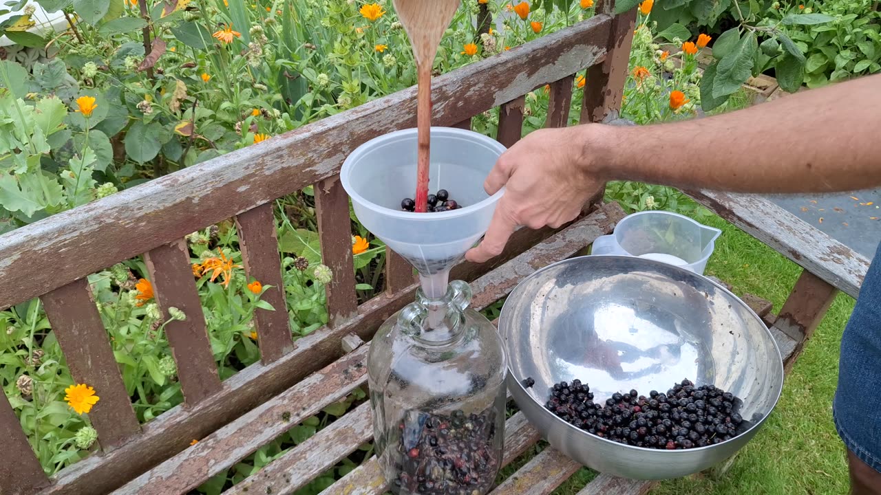 Soft Fruit Bounty, winemaking, and very quick greenhouse cleanup