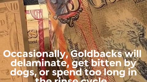 V21 What happens to my goldbacks if they’re damaged?! Bring them back to us and we’ll replace them!