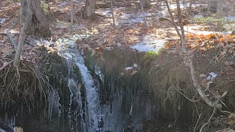 Meanwhile in Vermont
