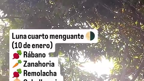 Puedes sembrar todo esto en ENERO🌱