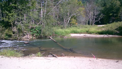 The Fish Top 1 year after Hurricane Helene
