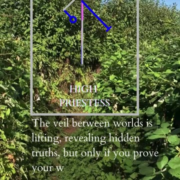 Nurture One Thing At A Time | Path and Tarot Reading