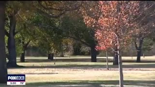 17-year-old arrested in Texas after attacking a woman with a hammer who was jogging in the park.