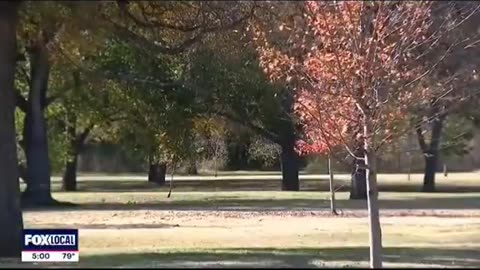 17-year-old arrested in Texas after attacking a woman with a hammer who was jogging in the park.