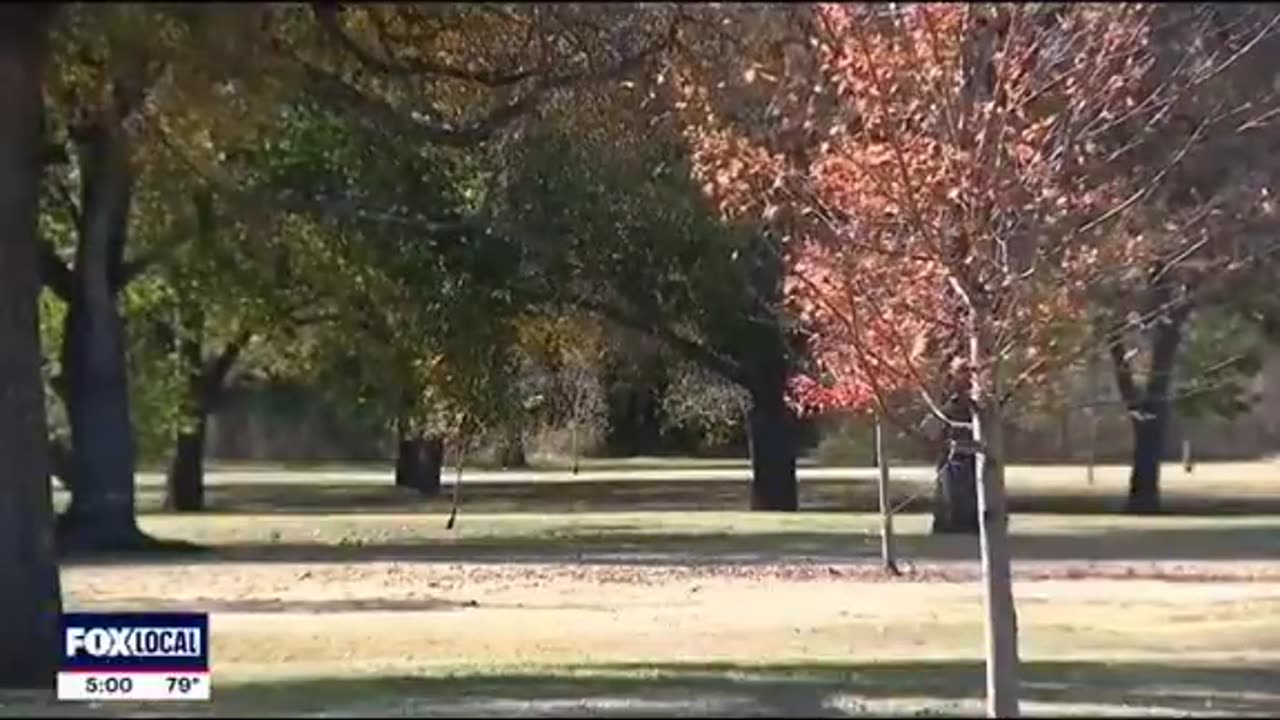 17-year-old arrested in Texas after attacking a woman with a hammer who was jogging in the park.