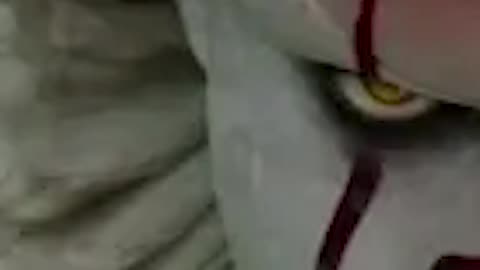 Pennywise – First-Person Horror Song (It) – “Dancing in the Sewers”