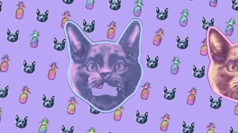 MK Mong : crying pussy