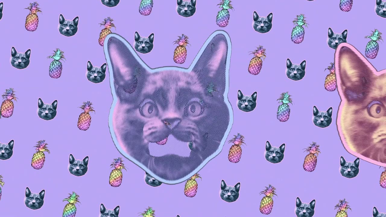 MK Mong : crying pussy