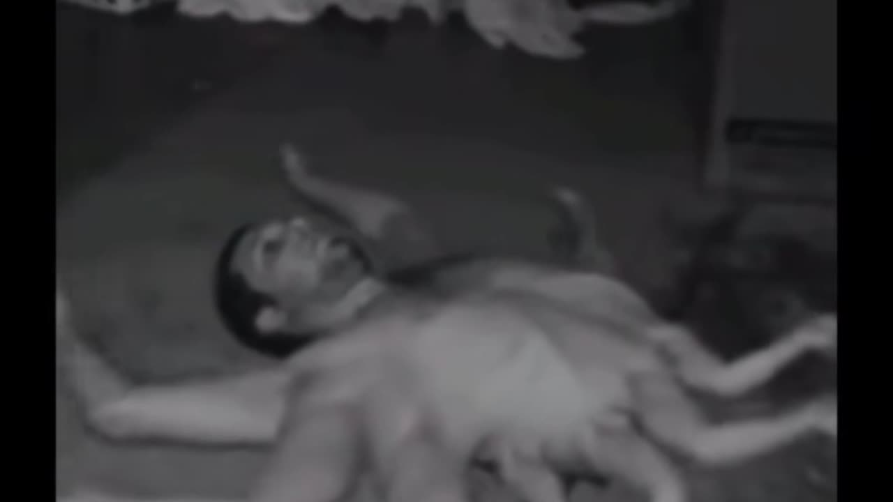 😱💥 The Most Possessed TikToker Ever! | TheHauntingHour