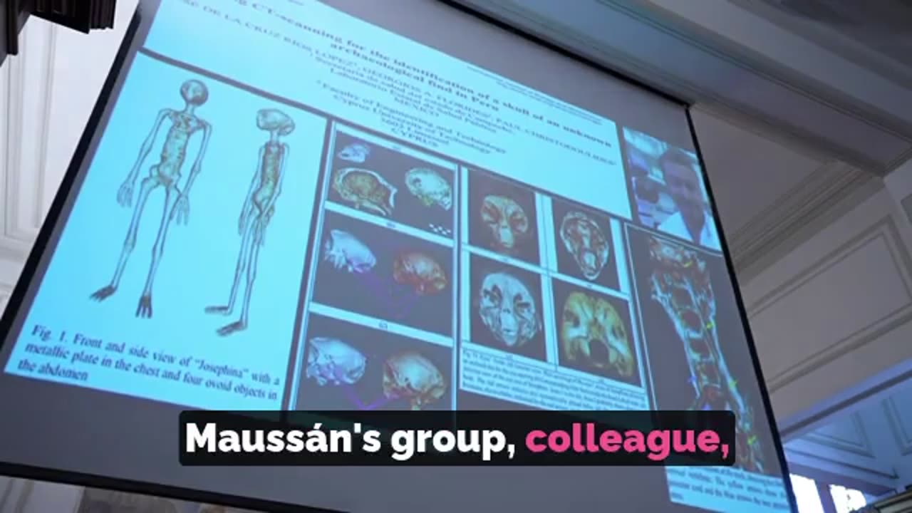 👽🔍 Peruvian Ministry's Llama Skull Debunk: Fact or Fiction? | TheTruthAbove