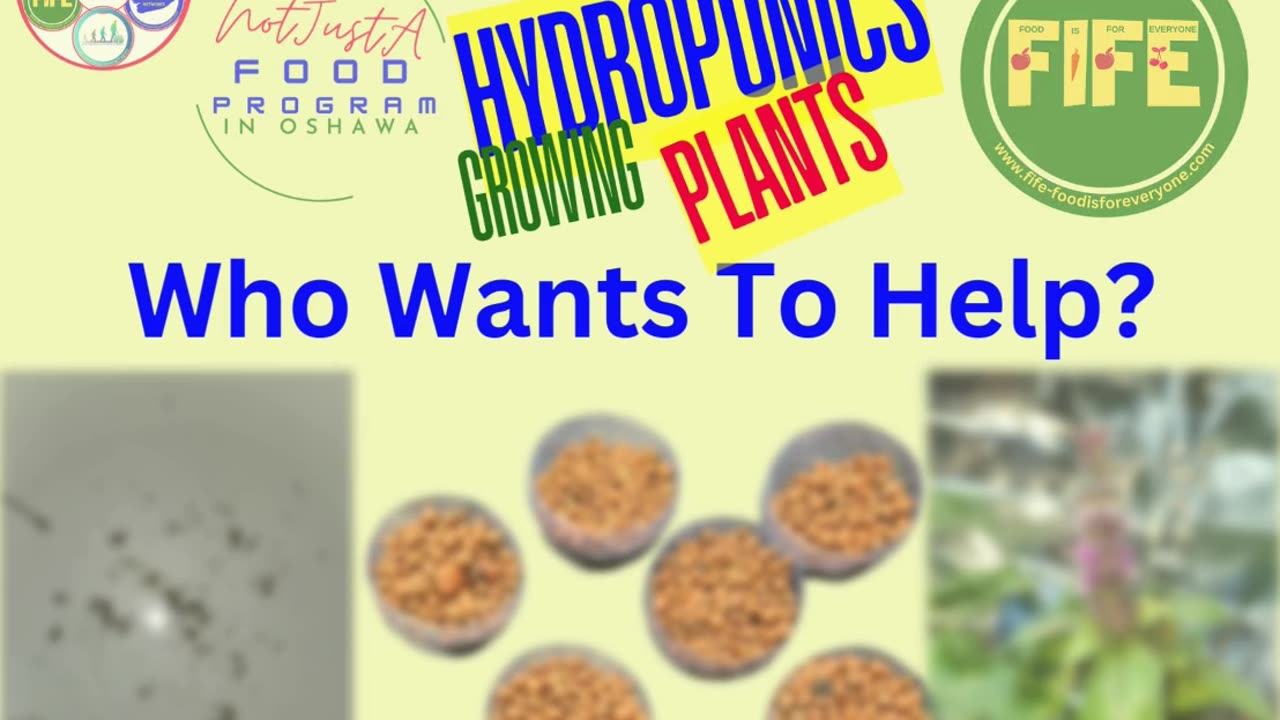 Growing Plants to Support the Not Just A Food Program