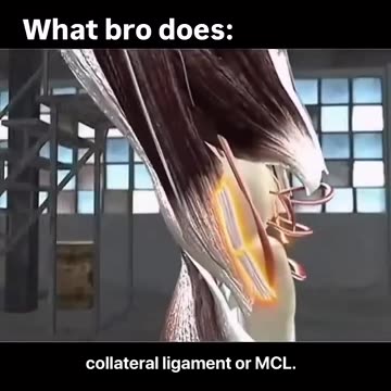 Straight Kick DESTROYS Knee Ligaments!