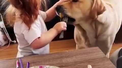 Girl Feeding the Dog