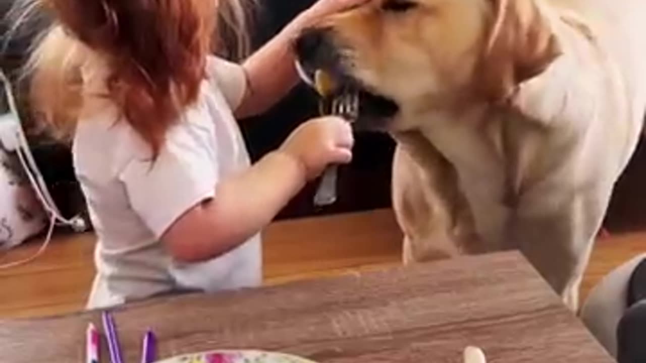 Girl Feeding the Dog