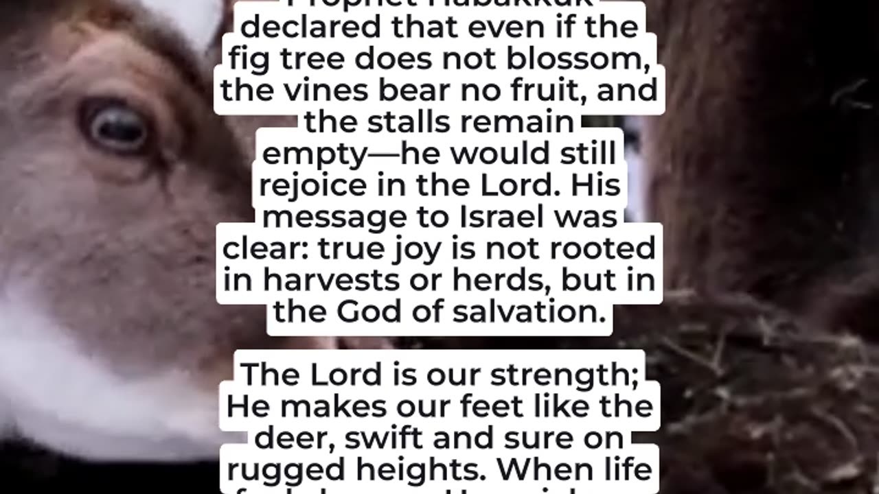 REJOICING IN SCARCITY – HABAKKUK’S UNSTOPPABLE FAITH
