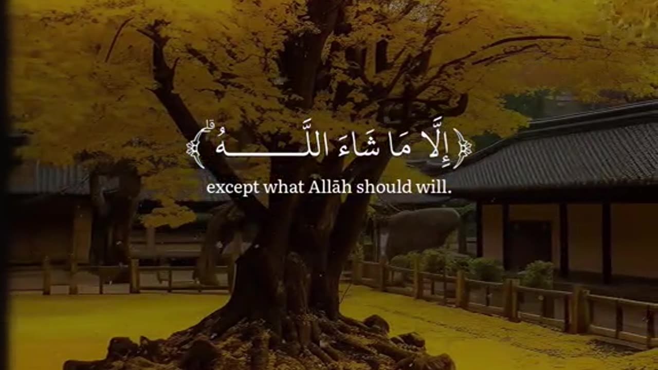 Jazakallah ♥️✨🕊️