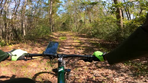 Downhill Lost In The Woods - 5