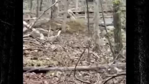 👻👽 GhostlyTokSa's Terrifying Ouija Board Session! | TheHauntingHour