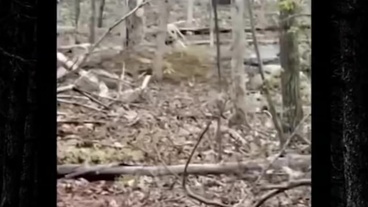 👻👽 GhostlyTokSa's Terrifying Ouija Board Session! | TheHauntingHour