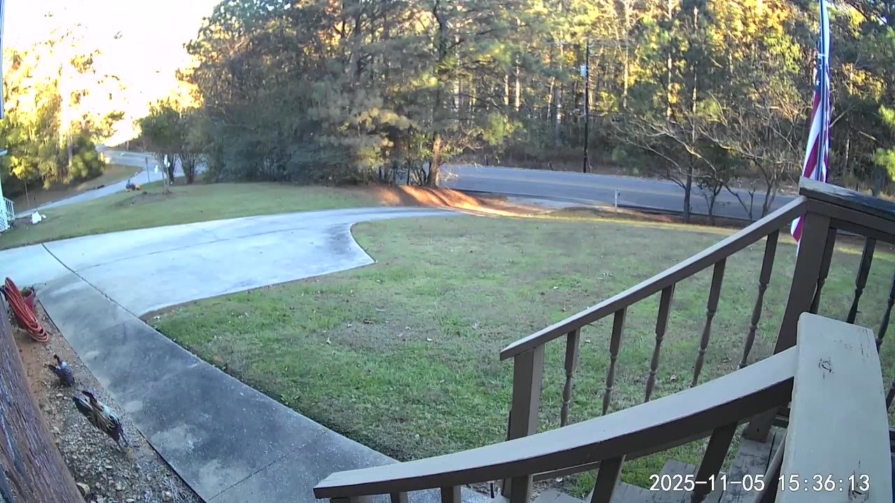 Flash Lawn Maintenance